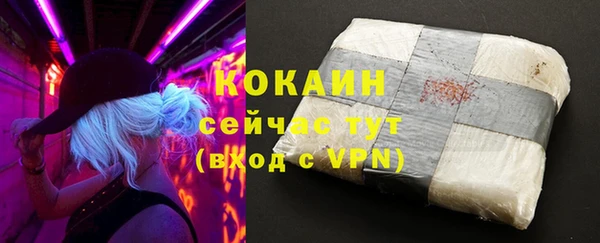 ГАЛЛЮЦИНОГЕННЫЕ ГРИБЫ Богданович