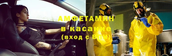 ГАЛЛЮЦИНОГЕННЫЕ ГРИБЫ Богданович