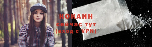 ГАЛЛЮЦИНОГЕННЫЕ ГРИБЫ Богданович