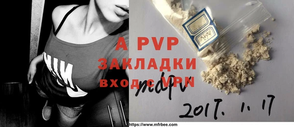 ГАЛЛЮЦИНОГЕННЫЕ ГРИБЫ Богданович