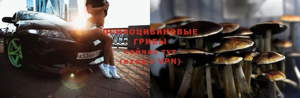 ГАЛЛЮЦИНОГЕННЫЕ ГРИБЫ Богданович