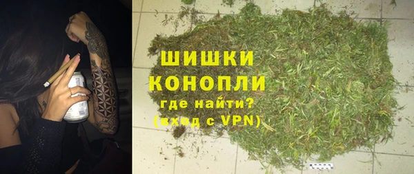 ГАЛЛЮЦИНОГЕННЫЕ ГРИБЫ Богданович