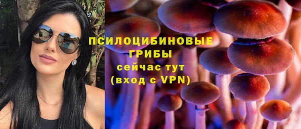 ECSTASY Белокуриха