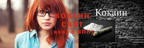 ГАЛЛЮЦИНОГЕННЫЕ ГРИБЫ Богданович