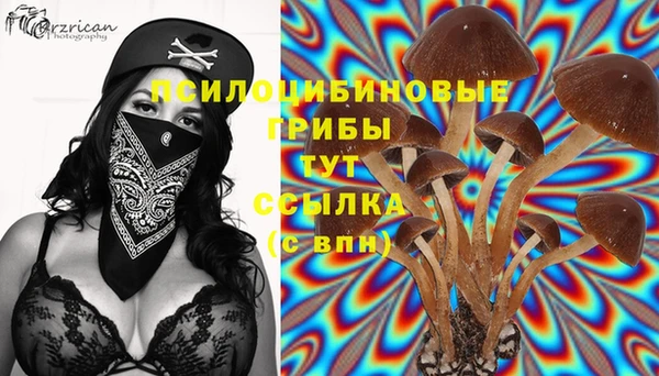 ГАЛЛЮЦИНОГЕННЫЕ ГРИБЫ Богданович