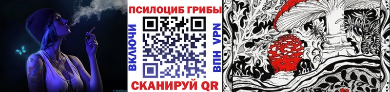 Галлюциногенные грибы Magic Shrooms  Ставрополь 